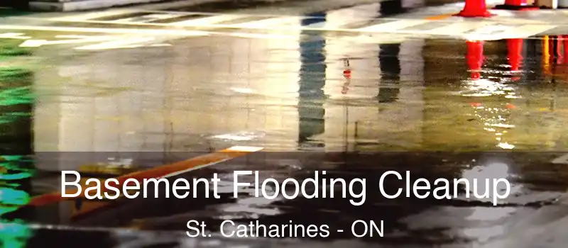 Basement Flooding Cleanup St. Catharines - ON