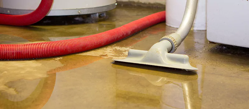 Professional Sewer Backup Cleanup Services in St. Catharines, ON