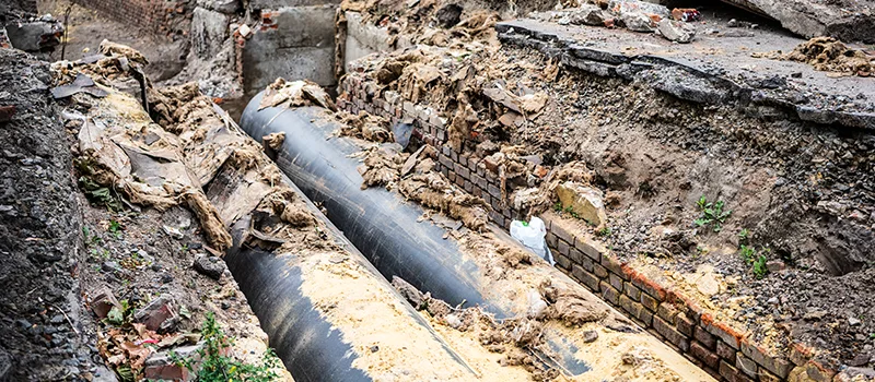 Commercial Sewer Tree Roots Damage Solutions in St. Catharines, ON