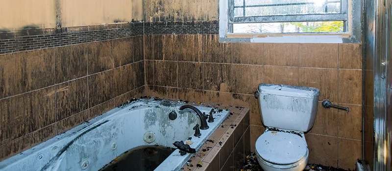 Residential Water Damage Restoration in St. Catharines, ON