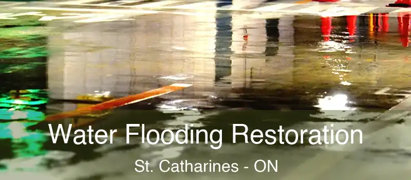  Water Flooding Restoration St. Catharines - ON