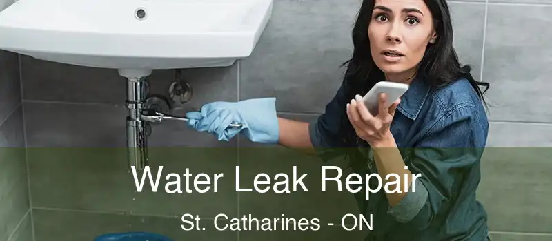  Water Leak Repair St. Catharines - ON