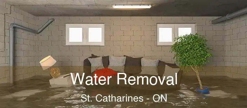  Water Removal St. Catharines - ON